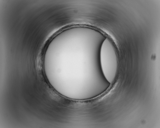 X0000102830925200808181045