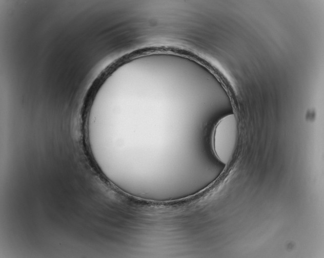 X0000102830927200808181045