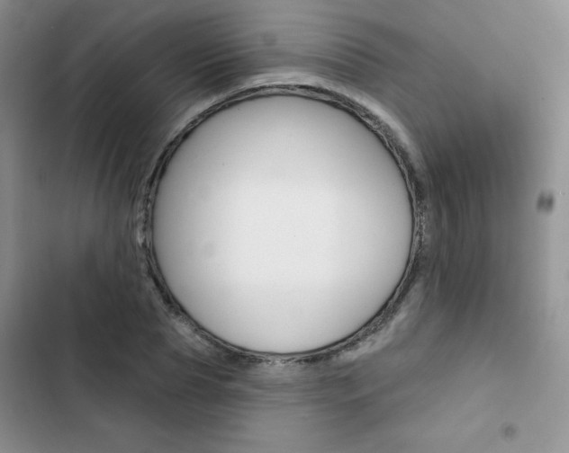 X0000102830929200808181045