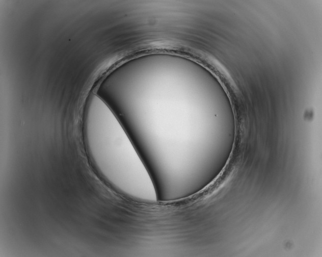 X0000102830930200808181045