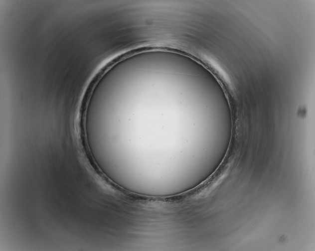 X0000102830932200808181045