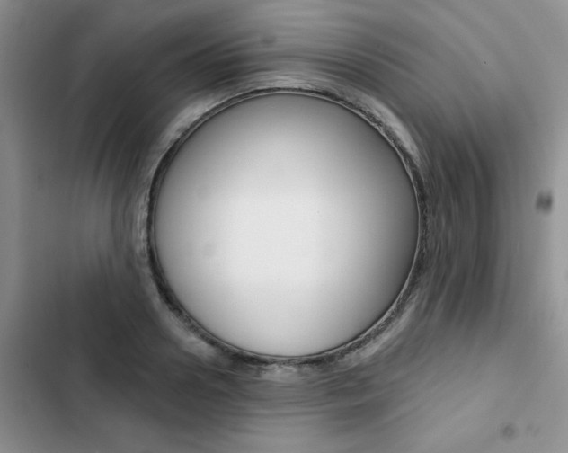 X0000102830938200808181045
