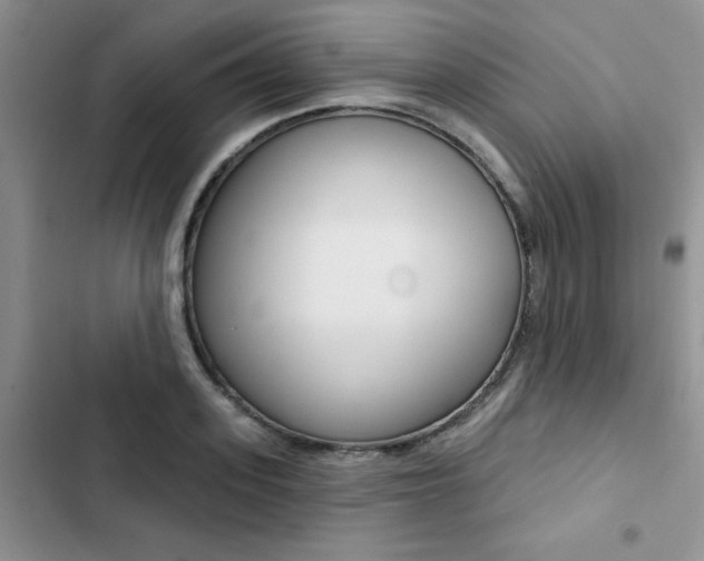 X0000102830939200808181045