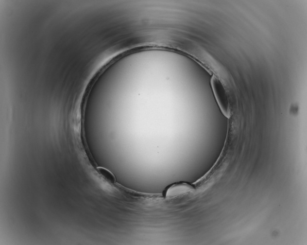X0000102830940200808181045