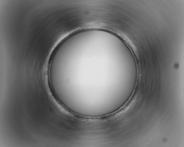 X0000102830941200808181046