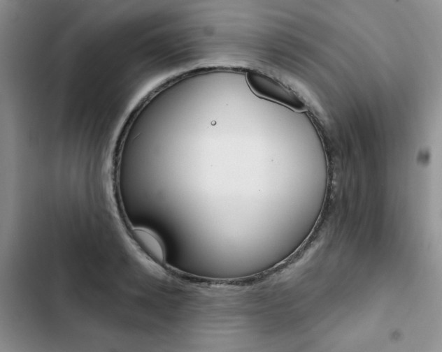 X0000102830942200808181046