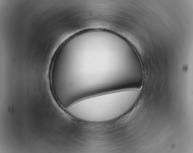 X0000102830943200808181046
