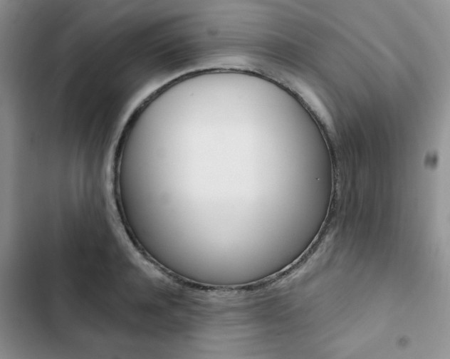 X0000102830944200808181046