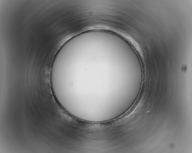 X0000102830945200808181046