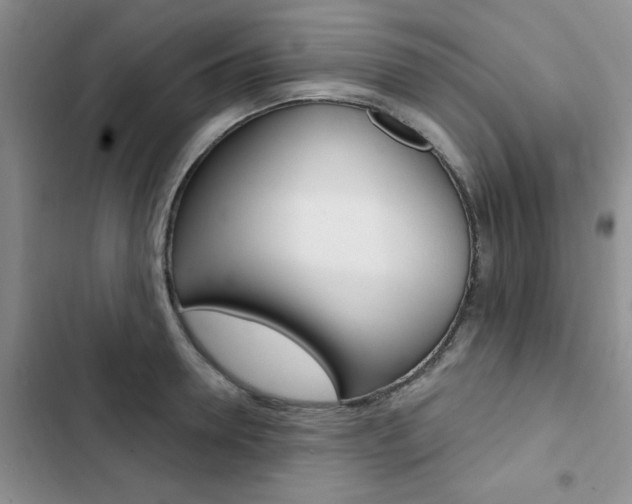 X0000102830946200808181046