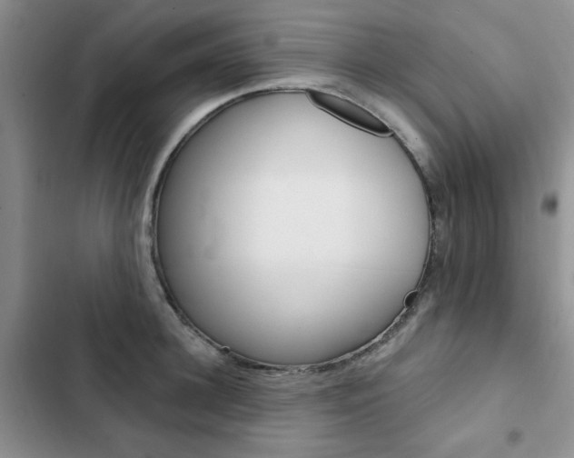 X0000102830948200808181046