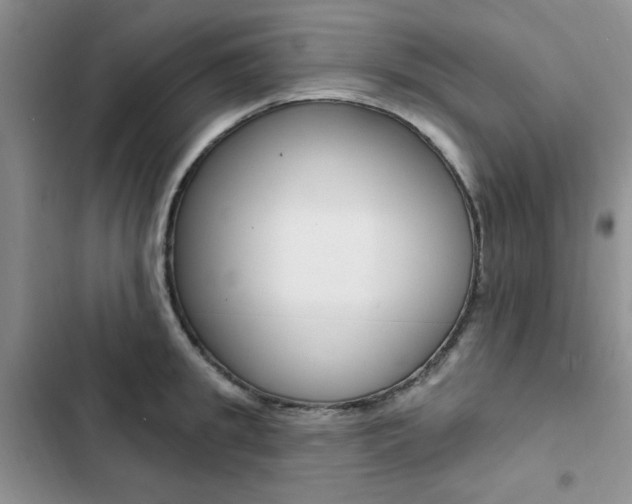 X0000102830949200808181046