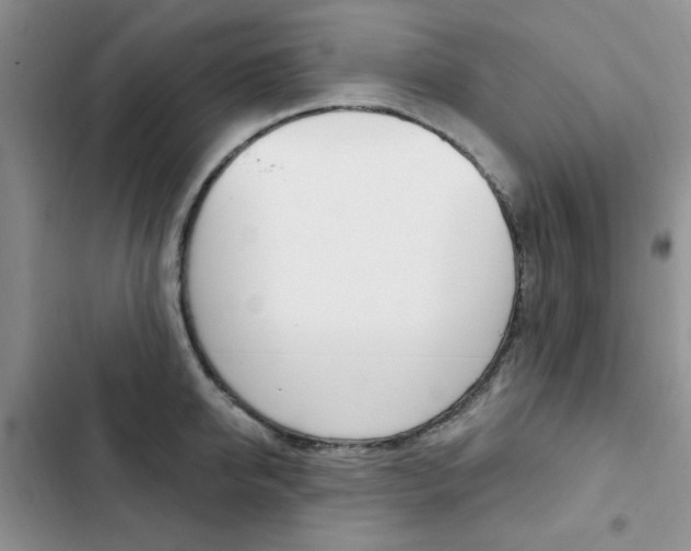 X0000102830950200808181046