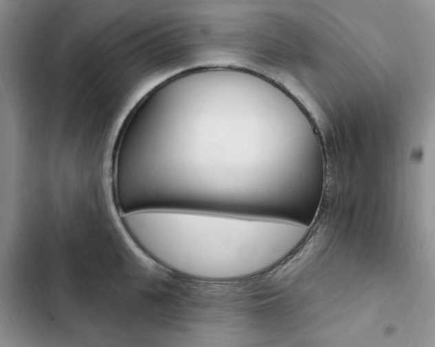 X0000102830951200808181046