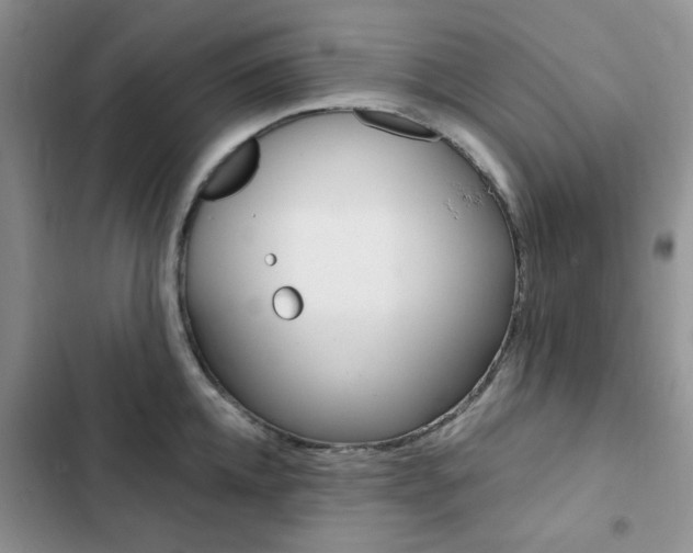 X0000102830952200808181046