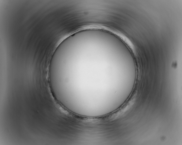 X0000102830953200808181046