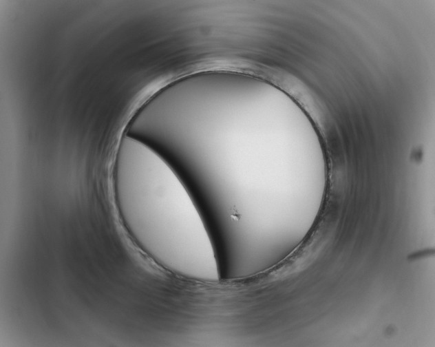 X0000102830954200808181046