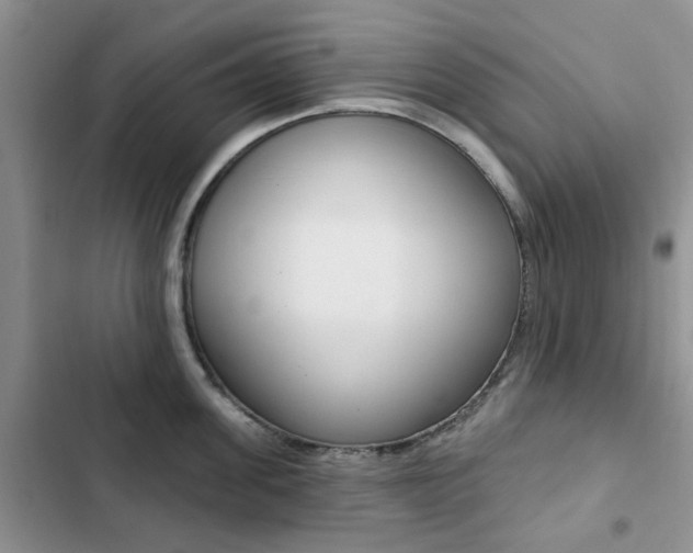X0000102830955200808181046