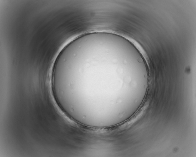 X0000102830957200808181046