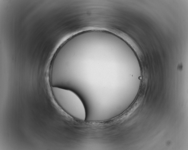 X0000102830958200808181046