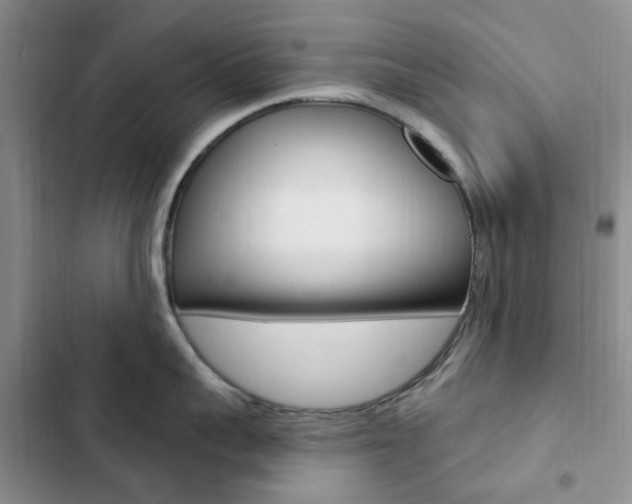 X0000102830959200808181046