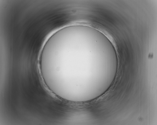 X0000102830960200808181046