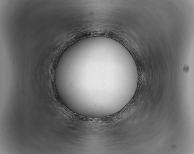 X0000102830961200808181045