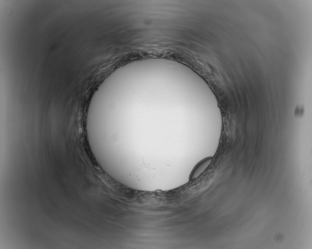 X0000102830962200808181045