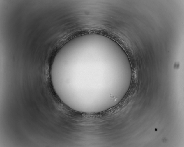 X0000102830963200808181045