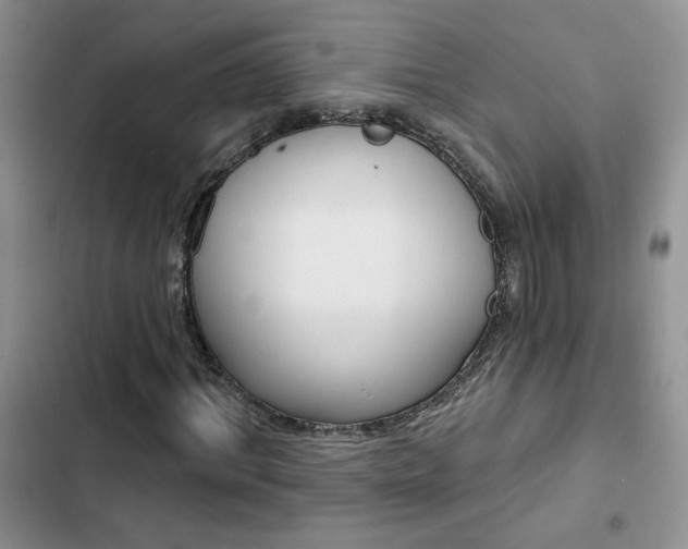 X0000102830964200808181045