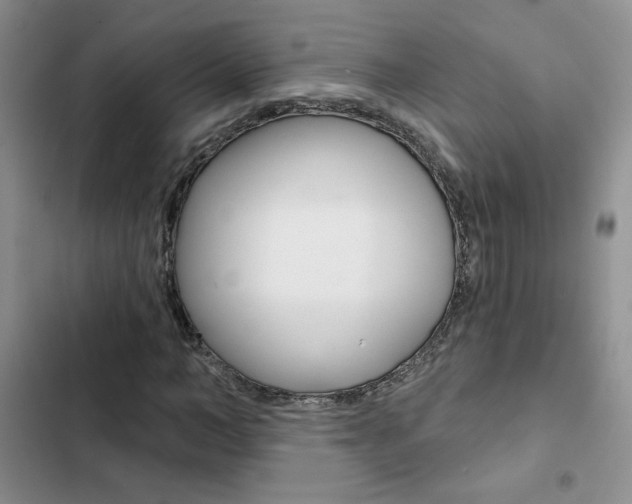 X0000102830966200808181045