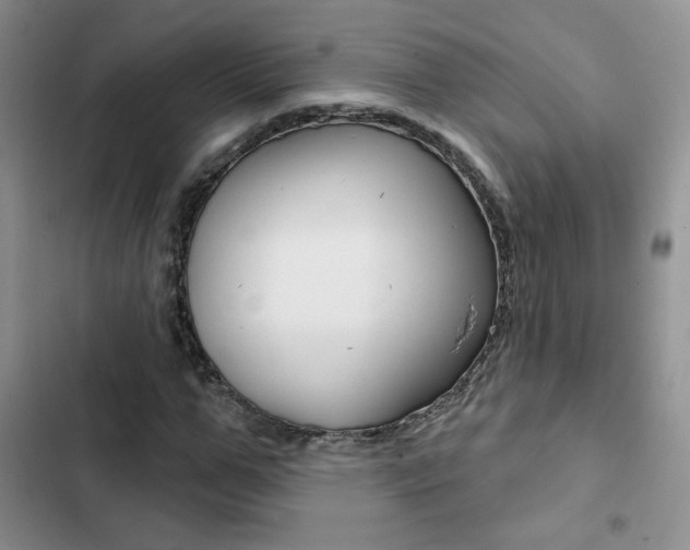 X0000102830967200808181045