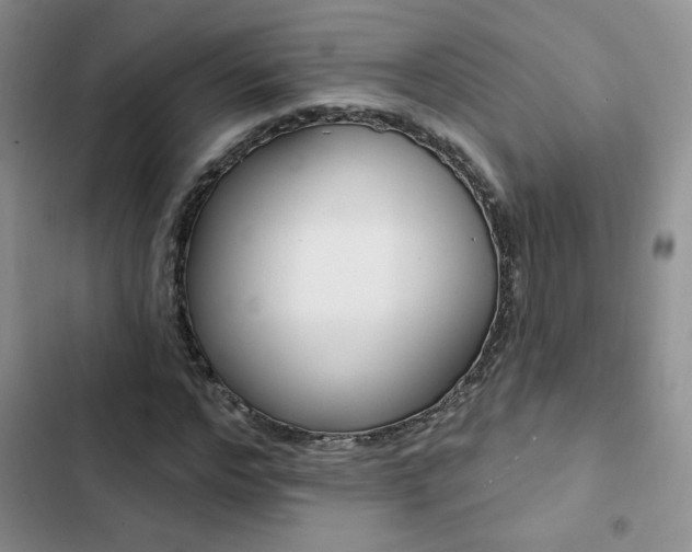 X0000102830968200808181045