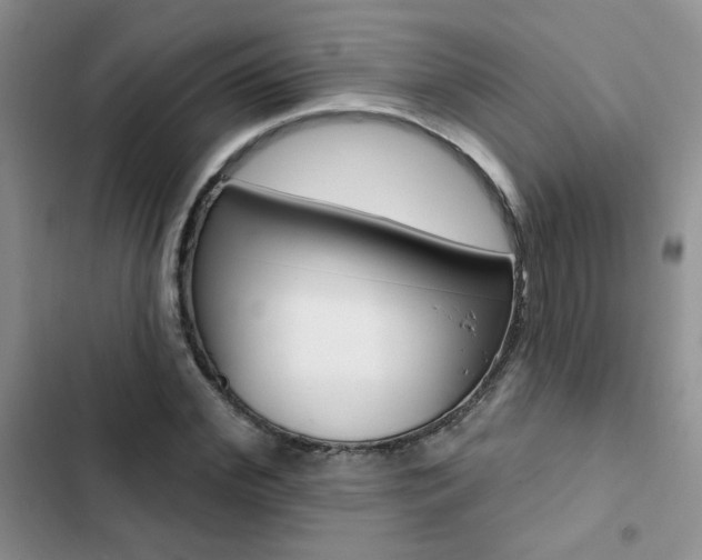 X0000102830972200808181045