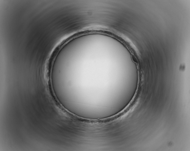 X0000102830973200808181045