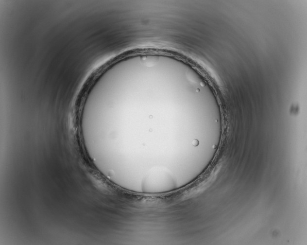 X0000102830974200808181045