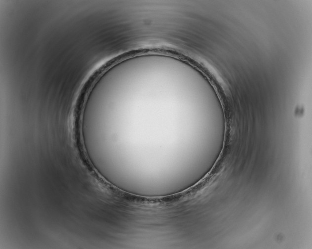 X0000102830975200808181045