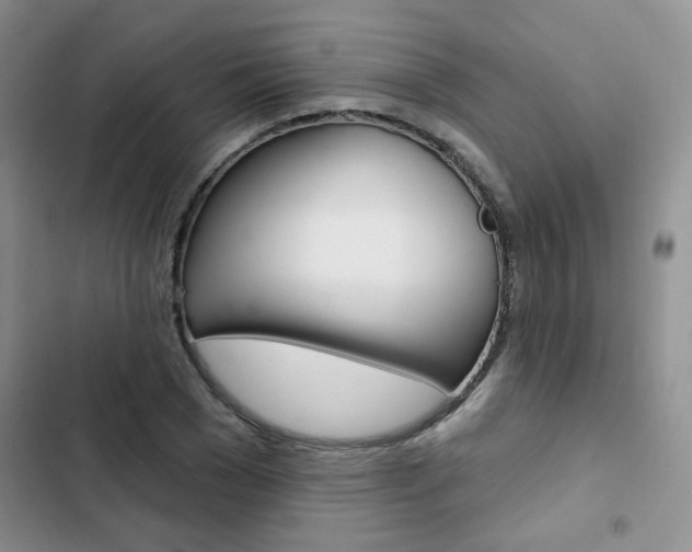 X0000102830977200808181045