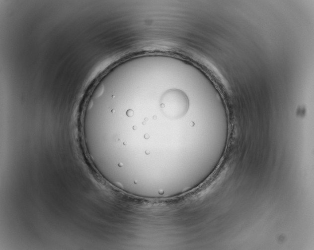 X0000102830978200808181045
