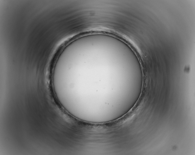 X0000102830979200808181045