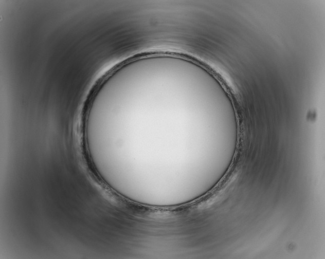 X0000102830982200808181045