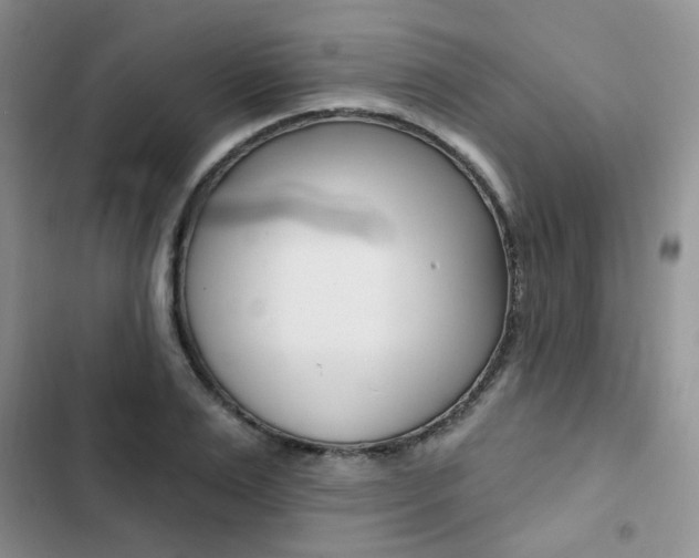 X0000102830983200808181045