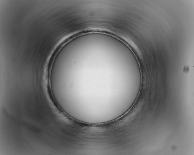 X0000102830984200808181045