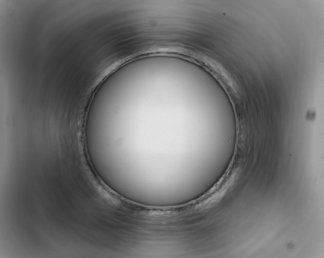 X0000102830985200808181045