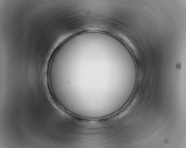 X0000102830986200808181045