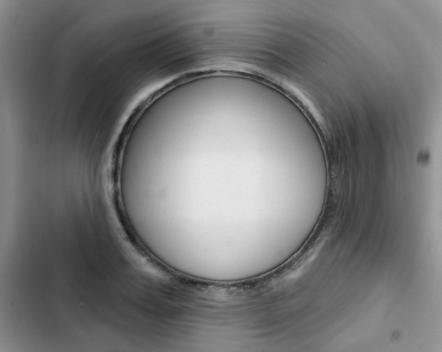 X0000102830987200808181045