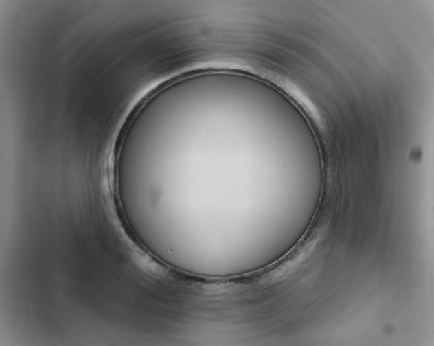 X0000102830988200808181045