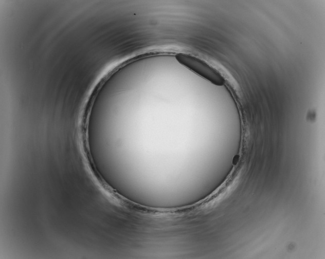 X0000102830989200808181045