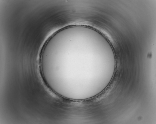 X0000102830990200808181045