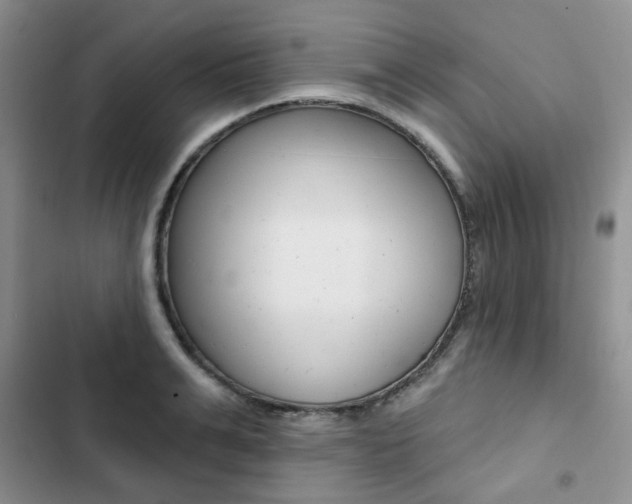 X0000102830991200808181045